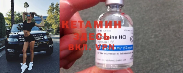 трава Аркадак