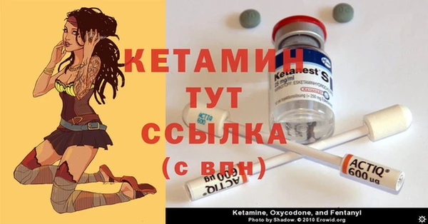 трава Аркадак