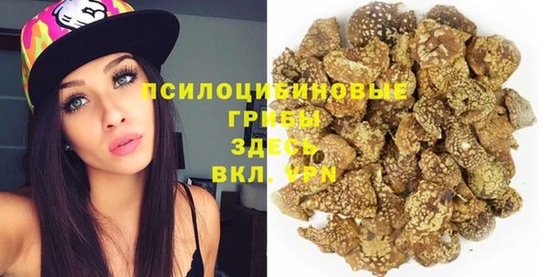 дмт Арсеньев