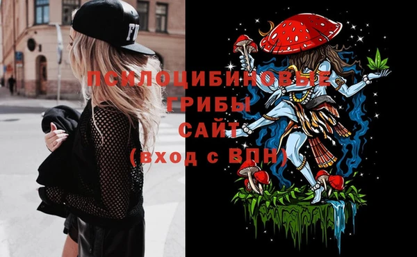 гашик Баксан