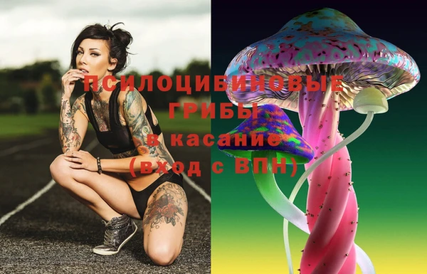 гашик Баксан