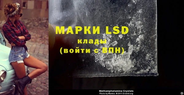 трава Аркадак