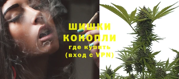 трава Аркадак
