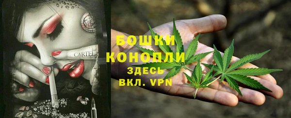 дмт Арсеньев
